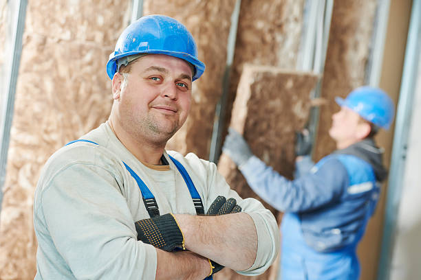 Professional Insulation Installation & Removal in Bayou Gauche, LA